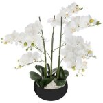 Fleur artificielle pot ciment 'orchidée' 65cm noir Fleur artificielle pot ciment 'orchidée' 65cm noir