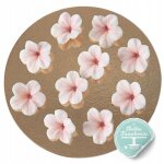 Fleurs en sucre roses pour d�coration de g�teau (lot de 10 pi�ces)