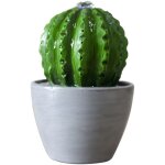 Fontaine d'int�rieur - zen arome - cactus - �clairage led - design tendance - ambiance apaisante