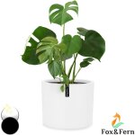 Fox & fern pot de fleur interieur et ext�rieur, jardinieres exterieur, pot plante r�sistant uv et gel ...
