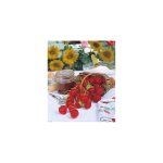 Fraisier mara des bois - 20 plants - fruitier