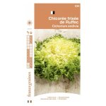 France graines - chicor�e fris�e de ruffec