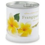 Frangipanier � faire pousser en boite