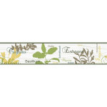 Bricoflor - frise murale herbes aromatiques | frise papier peint  inscriptions | frise tapisserie verte, ...