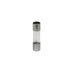 Fusible verre 5x20 rapide - 250 v 200ma