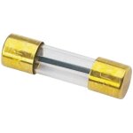 Fusible verre hifi auto 100 a sinuslive sg - 100 - 1 1 pc(s) y46049