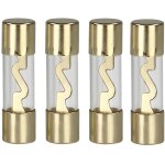 Fusible verre hifi auto 30 a 4 pc(s) s649522 - acv