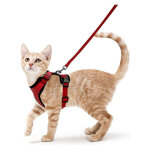 Galozzoit - harnais chat petit chien laisse harnais chaton rglable rouge collier harnai chat reflchissant ...