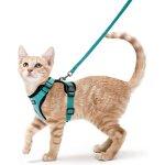 Galozzoit - harnais chat petit chien laisse harnais chaton r�glable vert xs collier harnai chat refl�chissant ...
