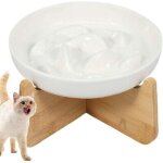 Gamelle anti glouton chat ceramique gamelle anti glouton petit chien avec bambou support gamelle anti ...