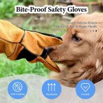 Gants en cuir renforc� anti - griffures - conviennent aux chiens, chats, reptiles, etc. - 1 paire, orange, ...