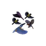 Gardigo - autocollant de fentre doiseau stickers native birds type de fonctions effet dissuasif 1 pc(s) ...