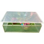 Gardiun - serre de jardin jaca i monopente 56x108x40 cm polycarbonate transparent