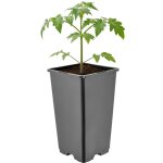 Garronda pot de fleur carr� haut plastique 11 � h 19 cm (1, 7l) - godet semis pot culture profond drainage ...