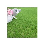 Décoweb - gazon synthétique valençay - 25mm - rouleau de 2m x 5m Décoweb - gazon synthétique valençay - 25mm - rouleau de 2m x 5m