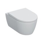 Icon wc suspendu rimfree avec fixations invisibles, carn, avec abattant softclose (501. 664. 00. 1) ...