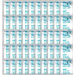 Gel de toilette pratique - poudre de toilettes de camping - solide pour