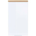 Germania - meuble de rangement suspendu 39x27x69 cm blanc et chne - pesky