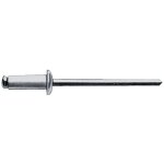 Gesipa - rivet pop tige de rivet d x l 6 x 14 mm acier / acier 250 un. 250 pi�ces
