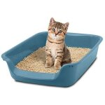 Boite a litiere pour chaton junior offre exclusive