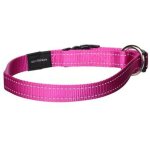 Global - collier pour chien en nylon rose taille l offre exclusive