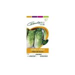 Gondian - chicor�e � feuilles pain de sucre