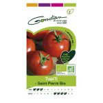 Gondian - tomate saint pierre bio