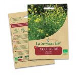 Graines bio - moutarde blanche - semence biologique