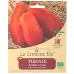 Graines bio - tomate andine cornue - semence biologique