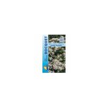 Ail des ours - 0, 5g