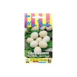Coloquinte oeuf blanc (nest egg) - 3g Coloquinte oeuf blanc (nest egg) - 3g
