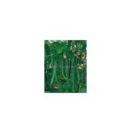 Haricot  rames plat planeta - - 70g