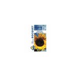 Soleil tournesol géant jaune coeur noir - 3g Soleil tournesol géant jaune coeur noir - 3g