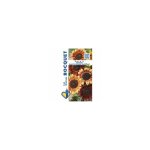 Soleil tournesol multiflore beaut d'automne - 3g