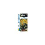 Soleil tournesol nain jaune big smile - 3g Soleil tournesol nain jaune big smile - 3g