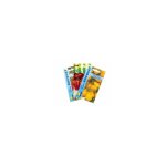Lot de tomates spciales apritif (3 sachets de graines  semer) - 1, 5g