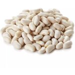 Graines de haricot coco blanc prcoce - sac de 5 kgs