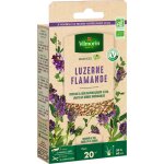 Graines de luzerne flamande bio , boite de 60 grs
