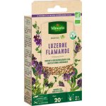 Graines de luzerne flamande bio , boite de 60 grs Graines de luzerne flamande bio , boite de 60 grs