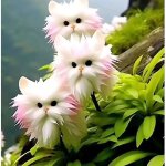 Graines d?orchid�e ?visage de chat? ? 1500 graines + engrais ? vari�t� rare ? culture jardin maison