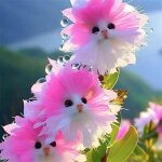 Graines d?orchid�e ?visage de chat? ? 600 graines + engrais ? vari�t� rare ? culture jardin maison
