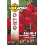 Graines de radis rapide rouge tournesol