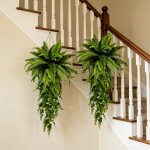 Grand lot de 2 foug�res de boston suspendues ? verdure luxe sans entretien jardin, mariage, f�te des ...