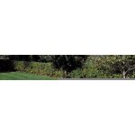 Gre - piscine acier blanc atlantis ovale 10, 20 x 5, 75 x 1, 32 m - gr