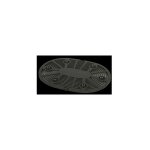 Grille amovible grise (ss - 993693) cuiseur vapeur seb