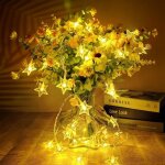 Guirlande lumineuse  piles, 6m 40 led fairy lights, 2 modes monochrome et brillant guirlande lumineuse ...