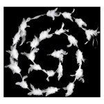 Paris prix - guirlande de no�l plumes h�ritage 200cm blanc