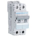 Hager - disjoncteur 2 p�les 6 - 10ka courbe b 63a 2 modules nen263