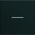 Enjoliveur interrupteur  voyant gallery 2 modules night hager wxd001n