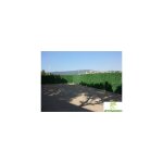 Haie artificielle occultante 110 brins ? dimensions 1, 20 m x 3 m ? densit� 1600 g / m� ? pvc grade a ...